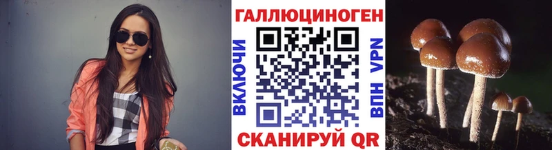 Купить Иланский Галлюциногенные грибы мицелий